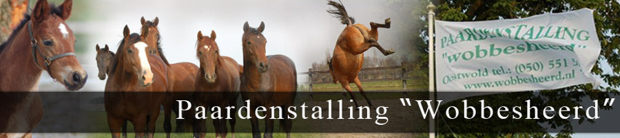 Paardenstalling Wobbesheerd Oostwold